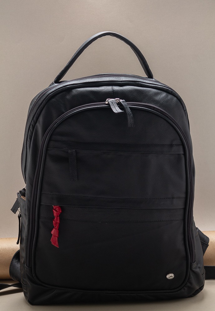 17067 negro